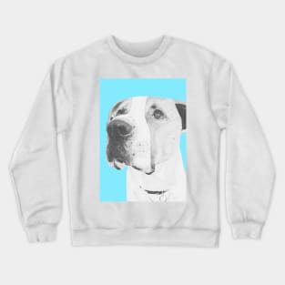 American Bulldog crossbreed in blue Crewneck Sweatshirt